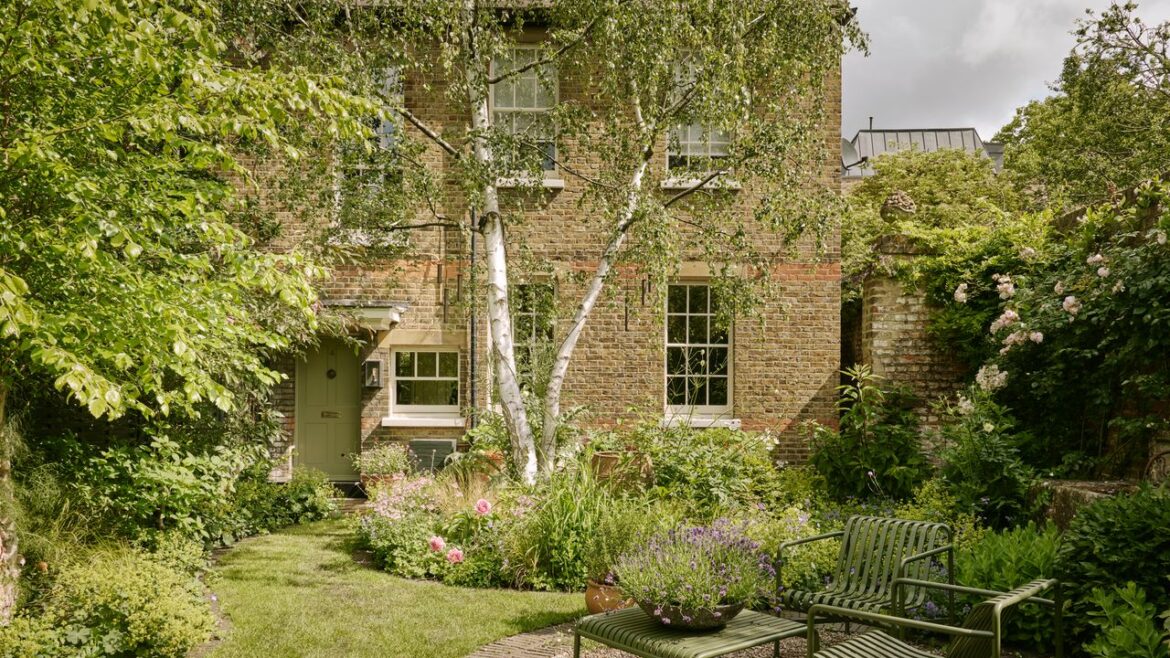 How an hour with a garden designer helped me to transform my outdoor space How an hour with a garden designer helped me to transform my outdoor space