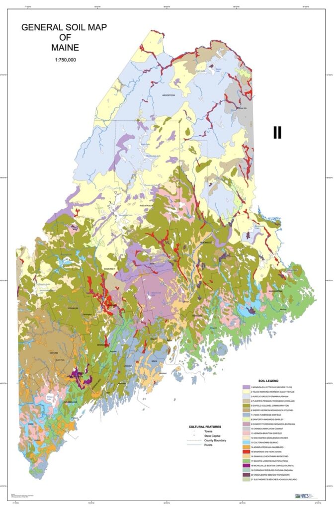 MAINE-LY GARDENING: Sharing our soil MAINE-LY GARDENING: Sharing our soil