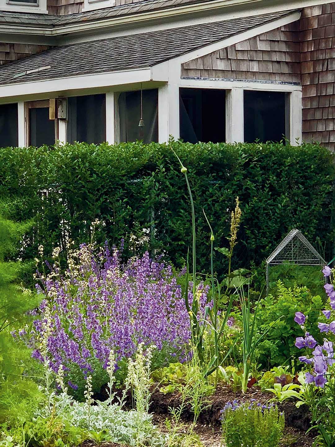 garden beside a shingled house