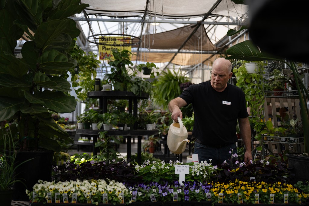 Denver independent nurseries navigate post-COVID “hangover” Denver independent nurseries navigate post-COVID “hangover”