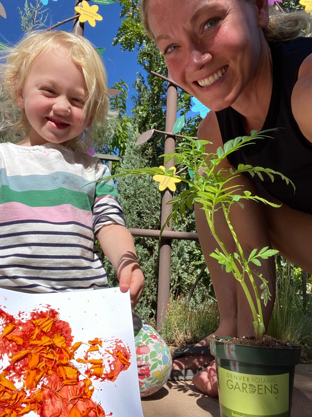 Jamie Siebrase and her daughter took a seedlings class at Denver Botanic Gardens at York Street. 