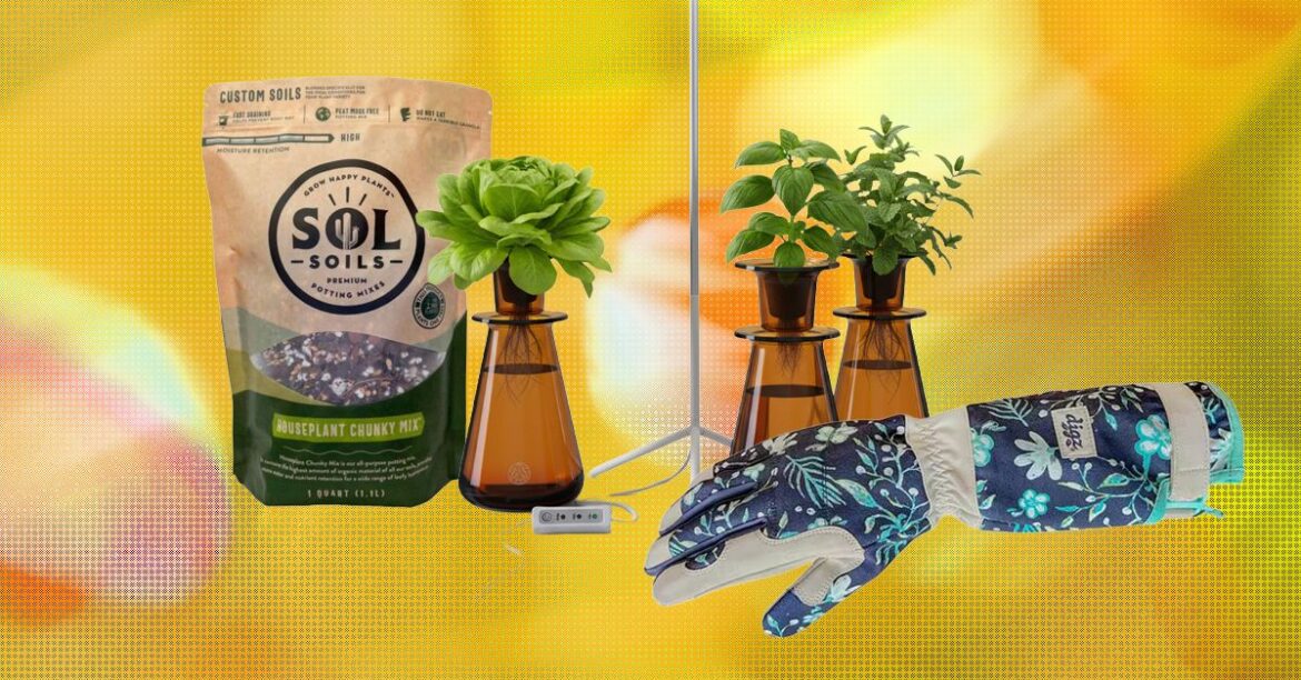15 Best Gifts for Plant Lovers and Gardeners (2026)