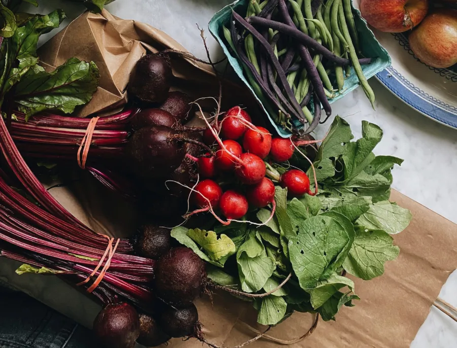 How to Start Gardening If You Want Peace, Tomatoes, and Less Screen Time How to Start Gardening If You Want Peace, Tomatoes, and Less Screen Time
