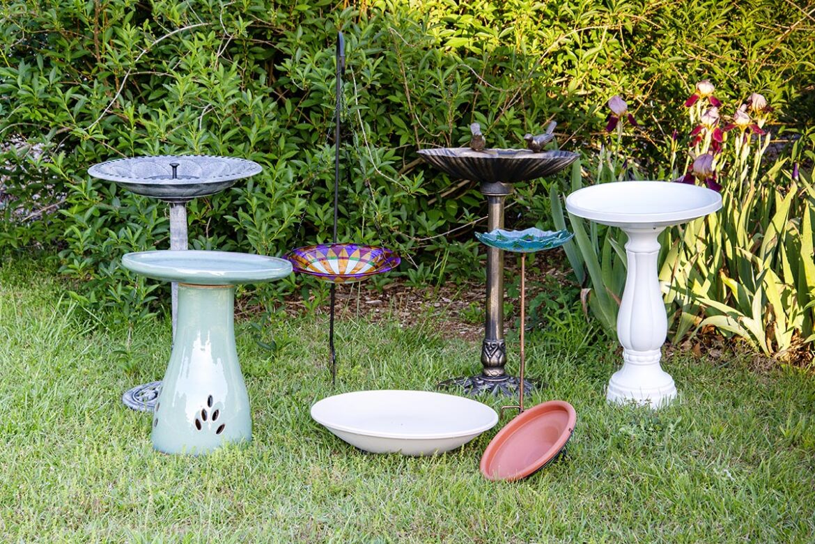 The Best Bird Baths of 2026, Selected by Experts The Best Bird Baths of 2026, Selected by Experts