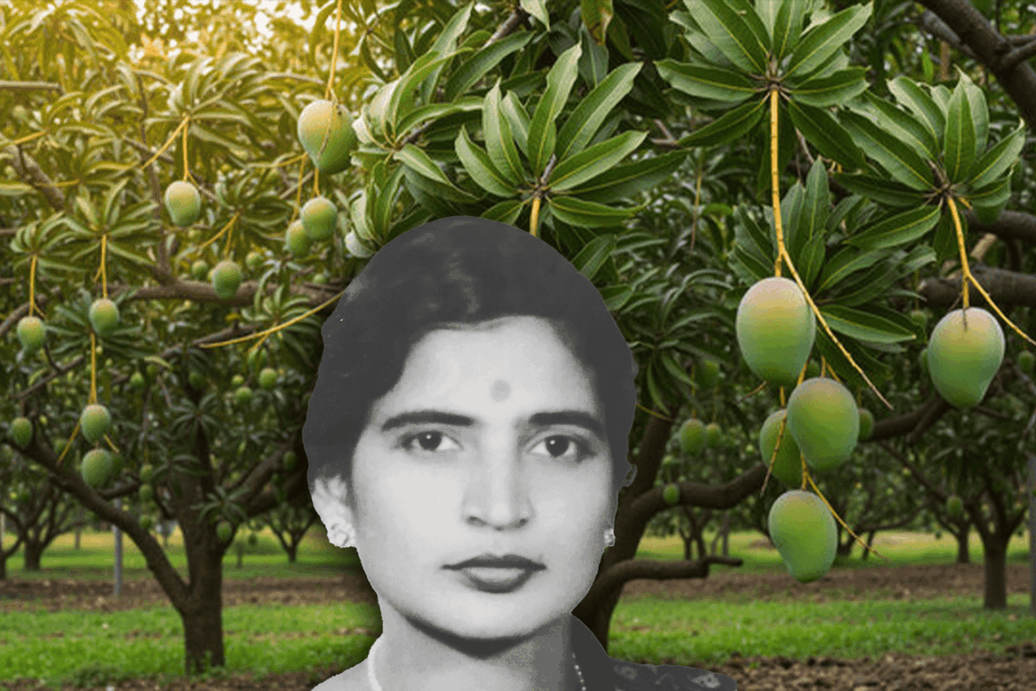 Kalpavriksha: While My Mother, the Avid Gardener, Has Left This Abode, Her Shade Still Protects Me Kalpavriksha: While My Mother, the Avid Gardener, Has Left This Abode, Her Shade Still Protects Me