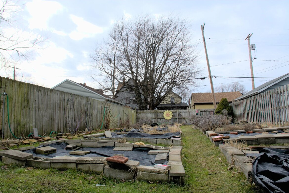 Cleveland revamps Summer Sprout community garden program