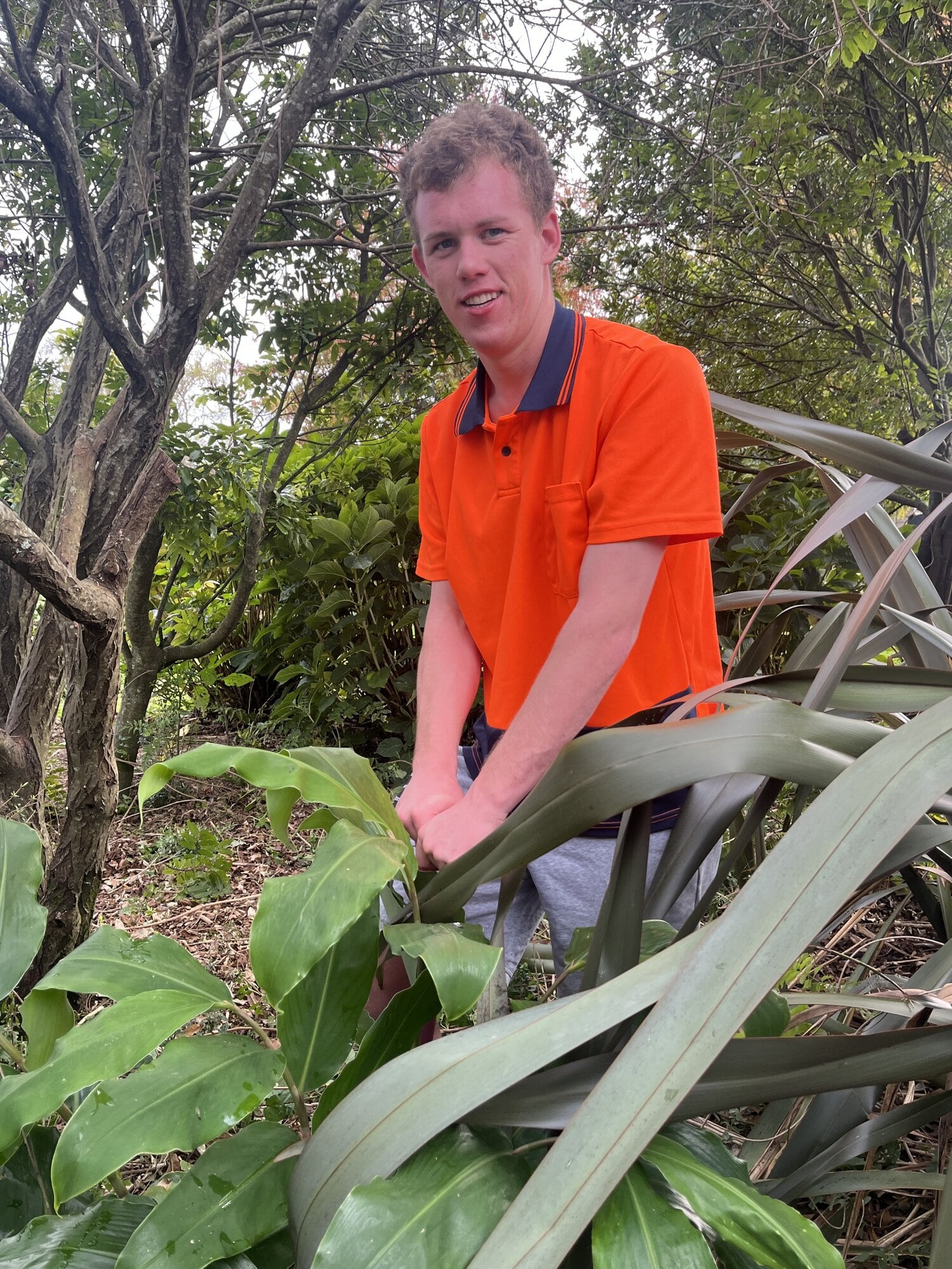  Brayden Collins has been named Volunteering Services' Volunteer of the Month. Photo / Matthew Farrell/SociaLink