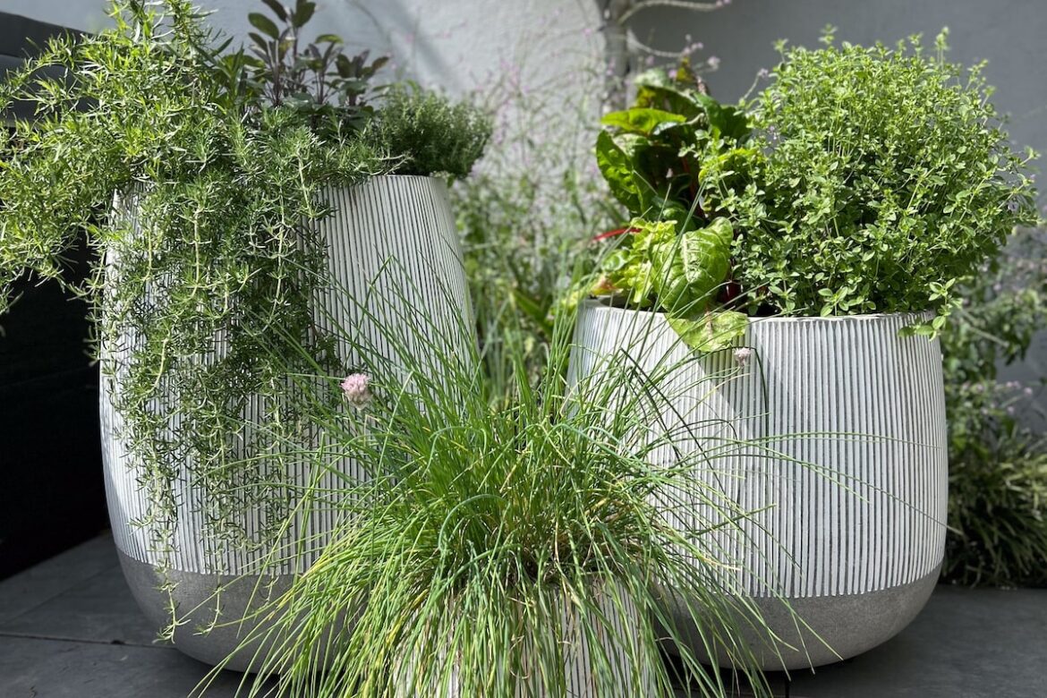 Spring planter tips: How to create containers that will wow – and last Spring planter tips: How to create containers that will wow – and last
