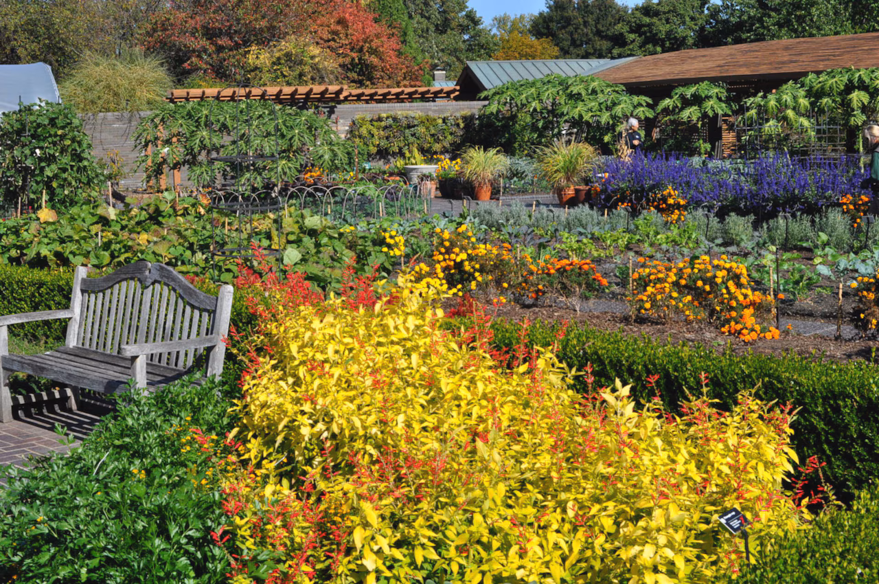 Missouri Botanical Garden