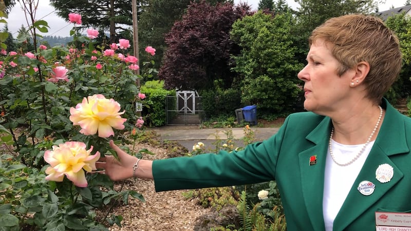 woman in green blazer reaches out her hand to touch a rose bloom