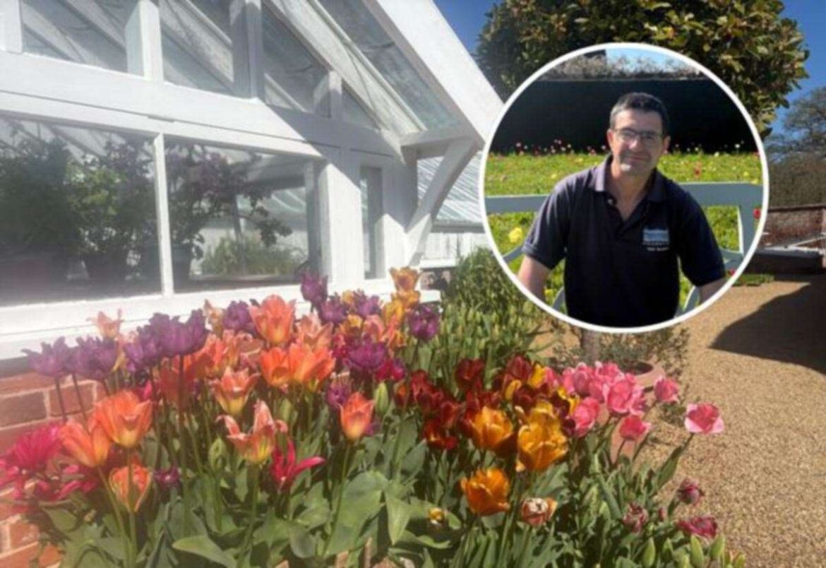 Tulip event at Houghton Hall highlights striking walled garden next to historic house