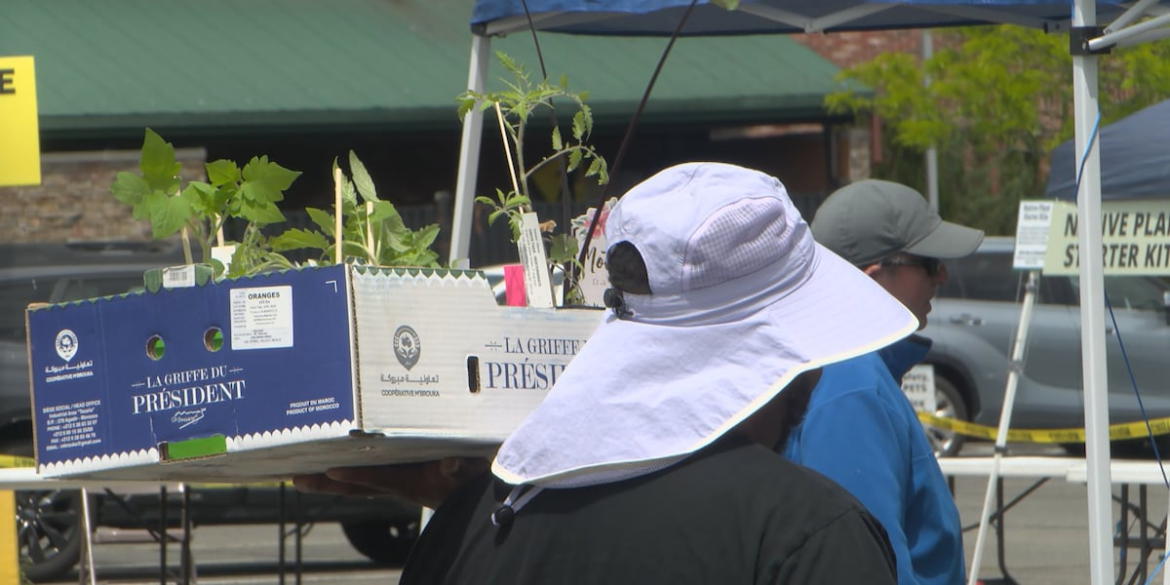 Piedmont Master Gardeners’ spring plant sale draws big crowds Piedmont Master Gardeners’ spring plant sale draws big crowds