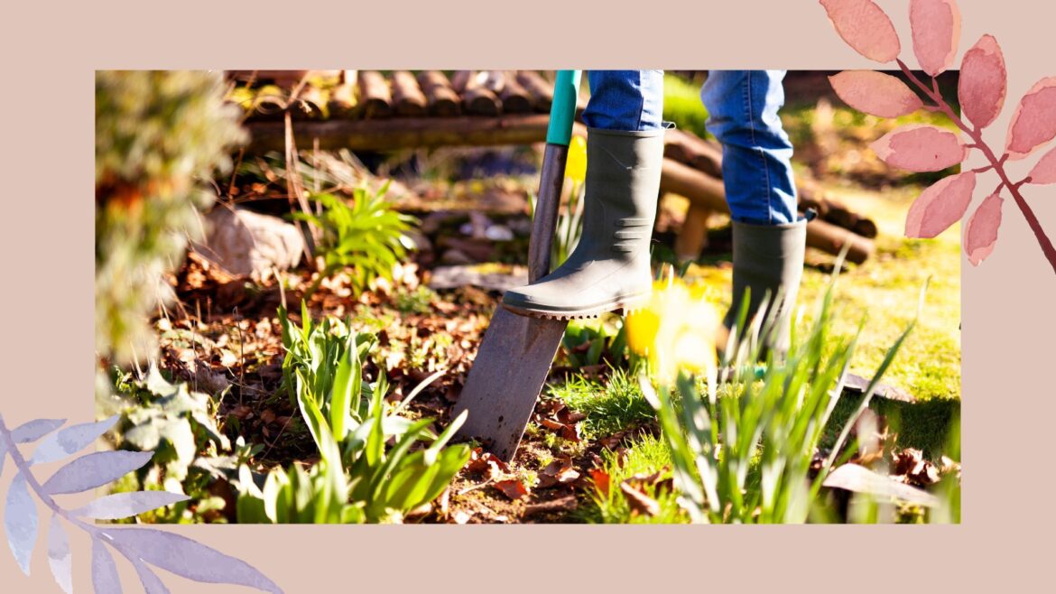 picture of woman digging in a flower border in garden
