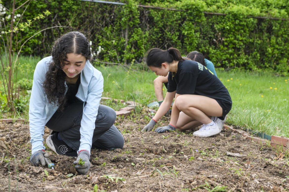 First-time Gardening Tips From Blue Jay’s Perch Three gardeners crouch down to tend to a garden plot.