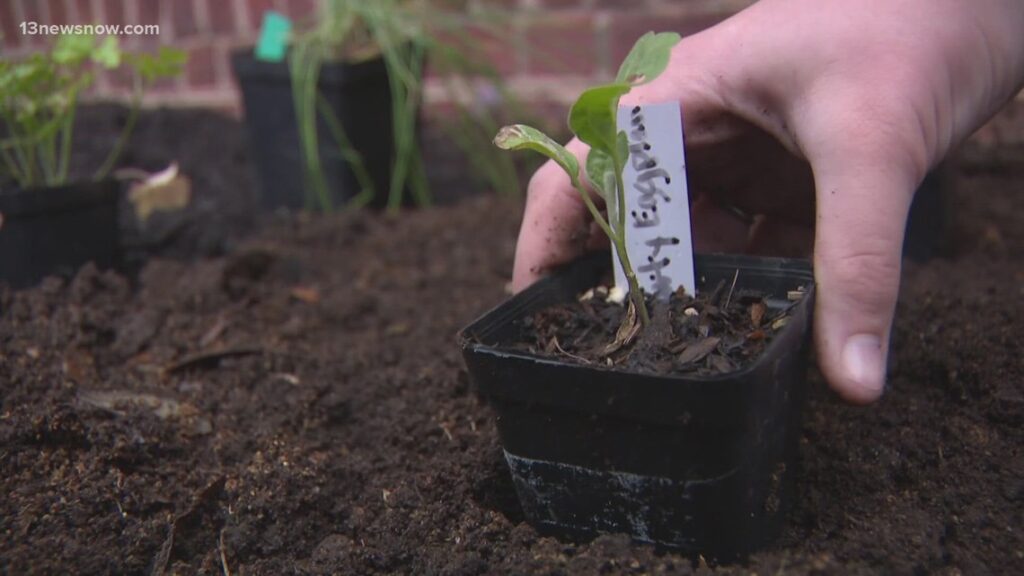 Norfolk nonprofit teaches community members how to grow their own gardens Norfolk nonprofit teaches community members how to grow their own gardens