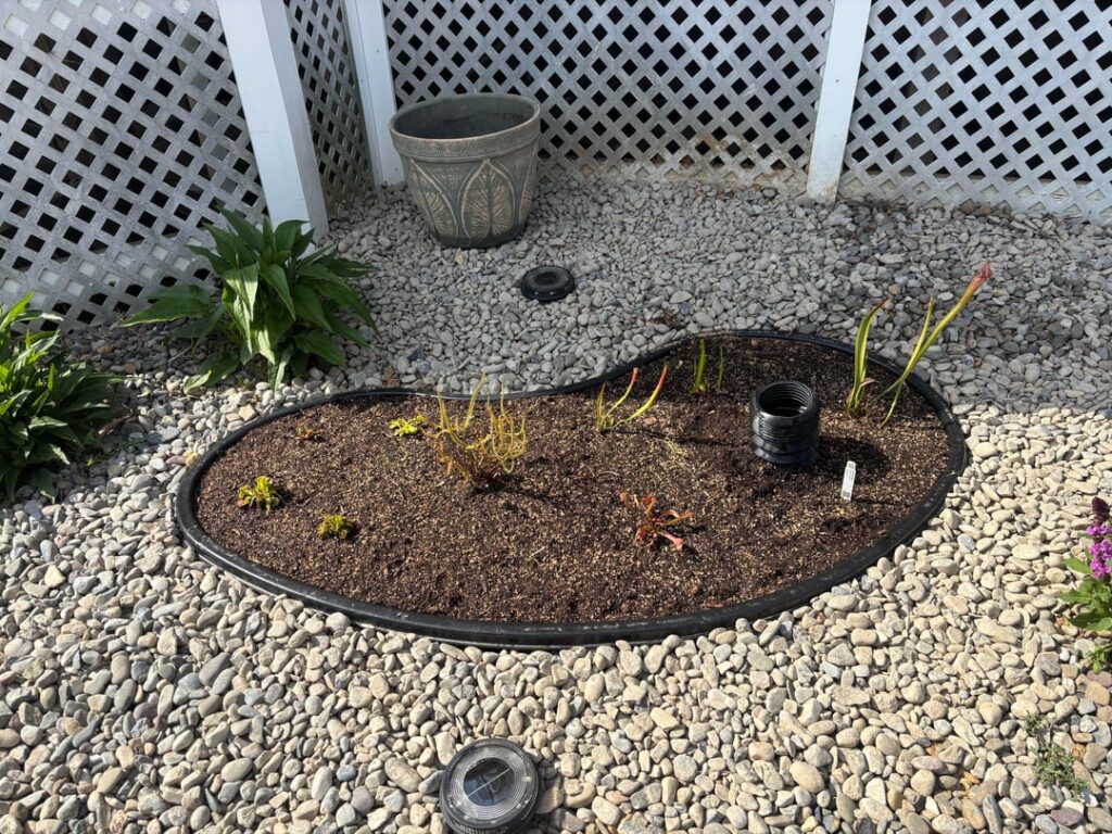 New Bog Gardens New Bog Gardens