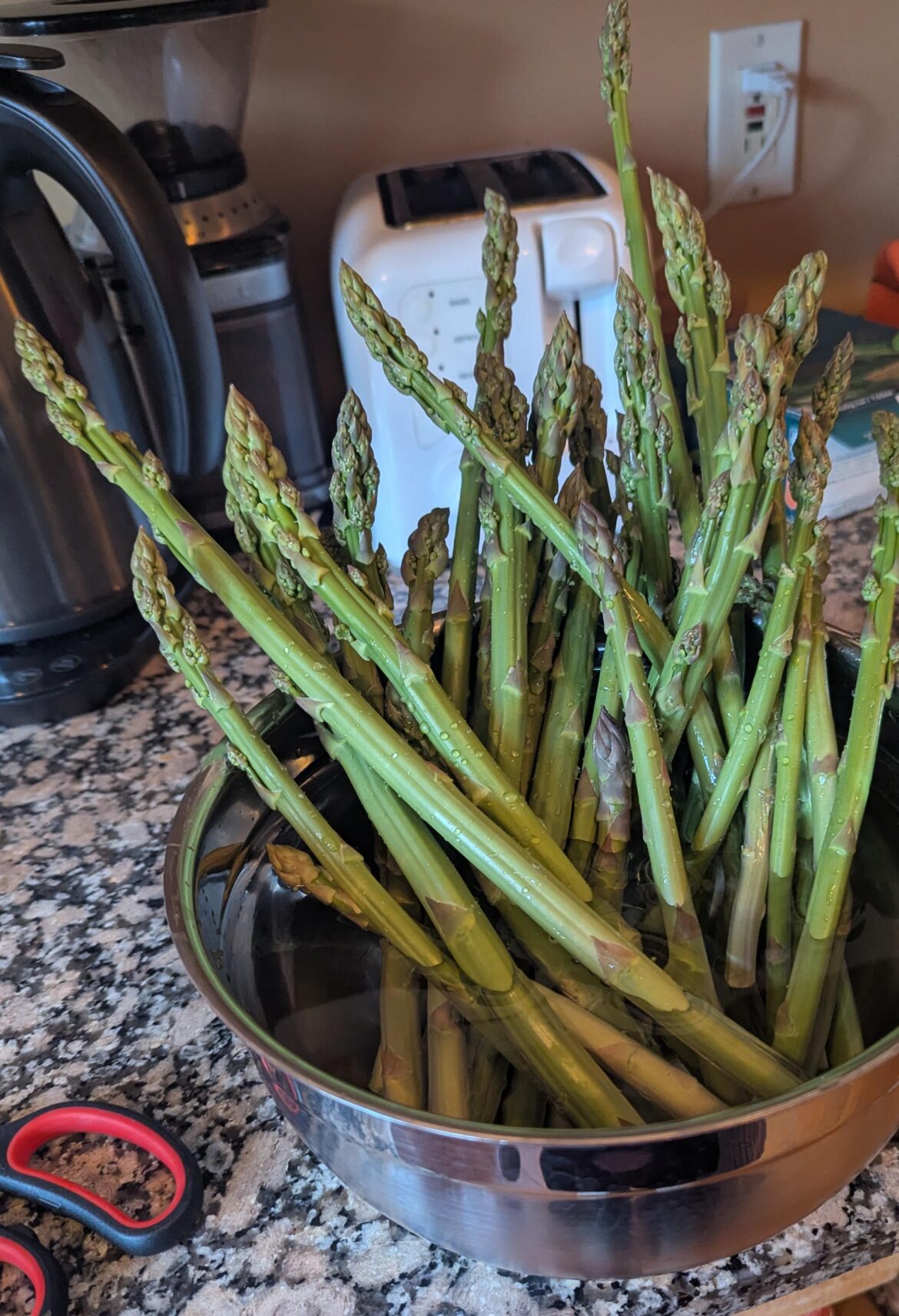 First harvest First harvest