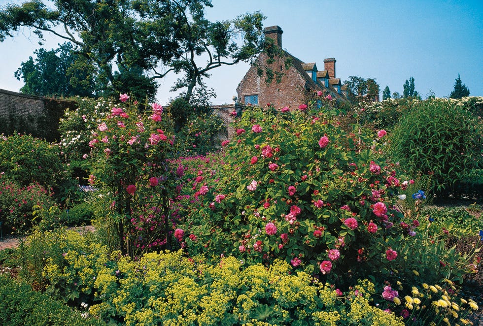 Sissinghurst Castle Garden, 1930, Kent sissinghurst castle garden filled with colourful roses