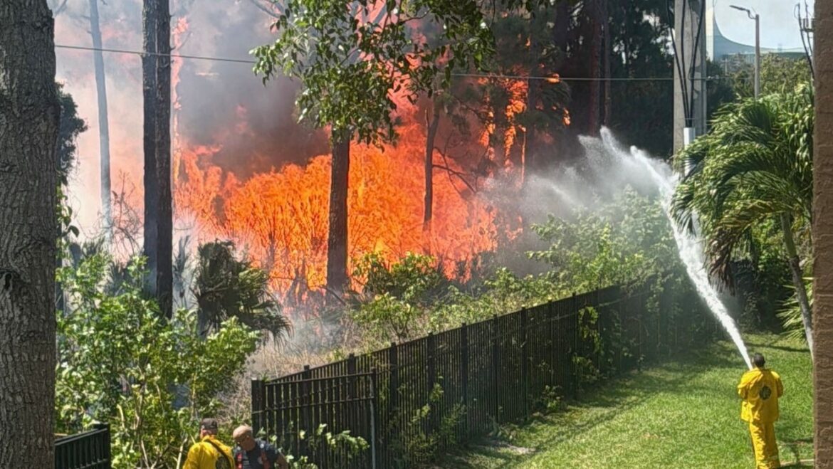 Firefighters battle wildfire near Palm Beach Gardens homes on Mother’s Day station icon