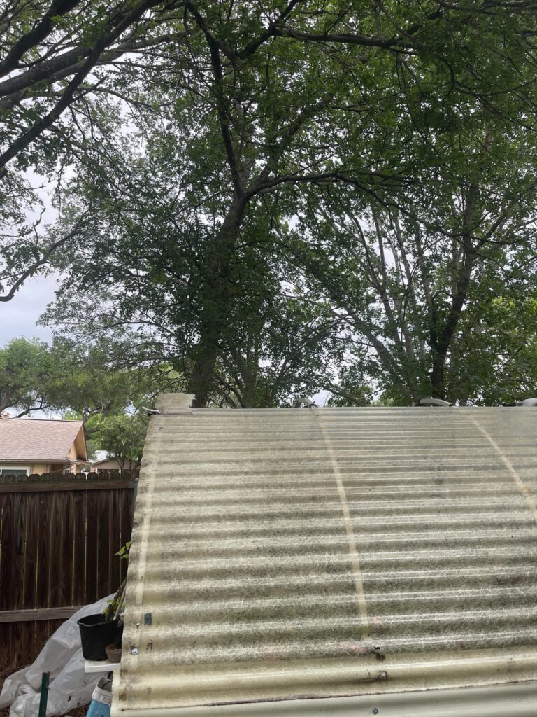 Repairing ripped fiberglass panels on roof of greenhouse