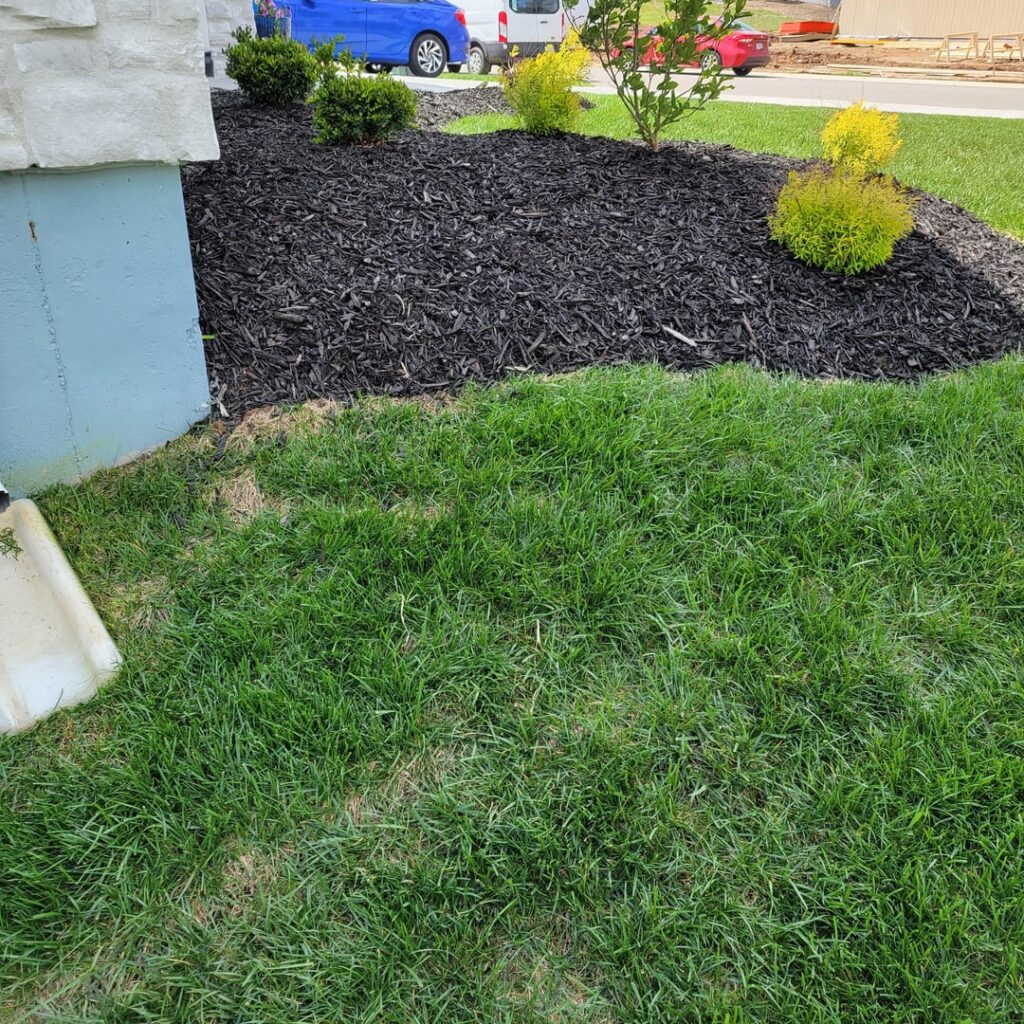 Suggestions to keep mulch in place without a retaining wall.
