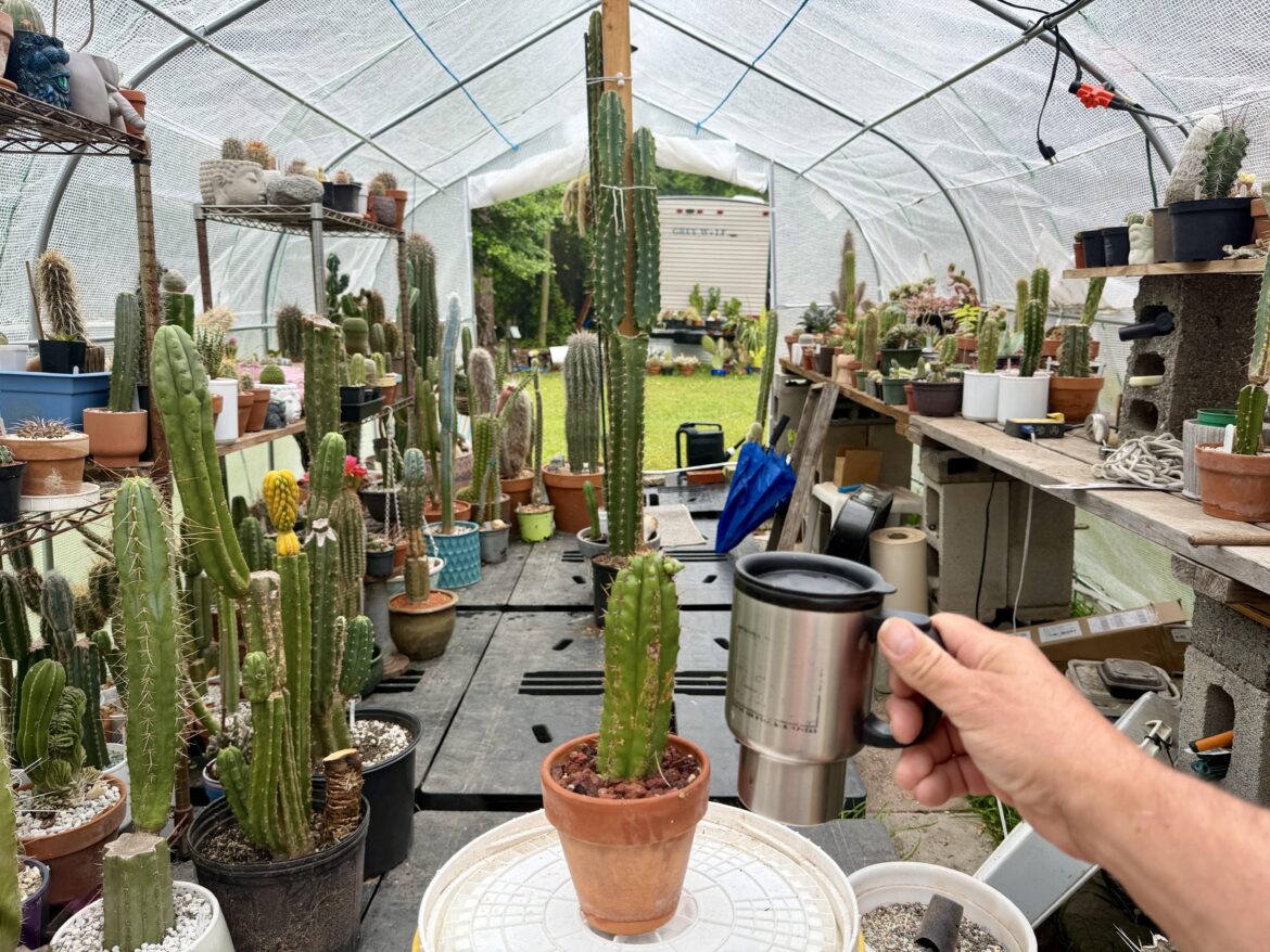 Good Morning Cactus Fam