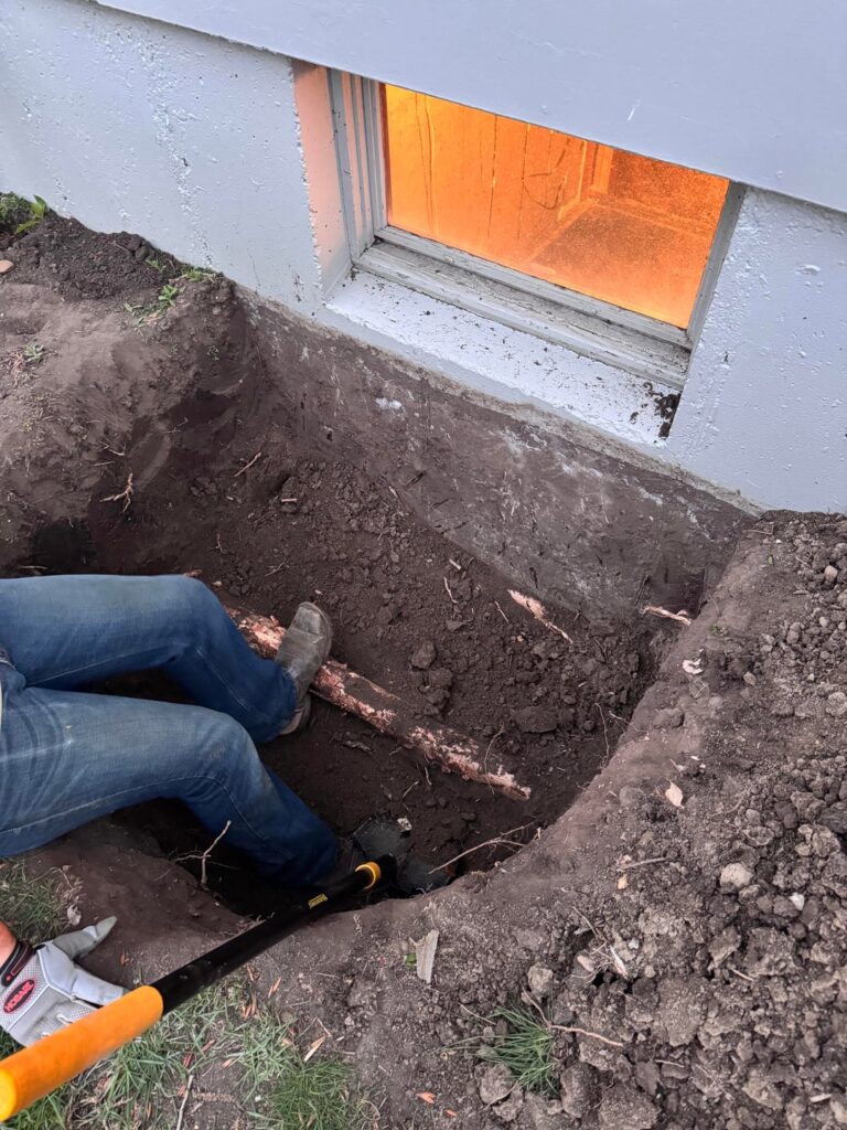 How bad is it to cut these roots for my egress windows? How bad is it to cut these roots for my egress windows?