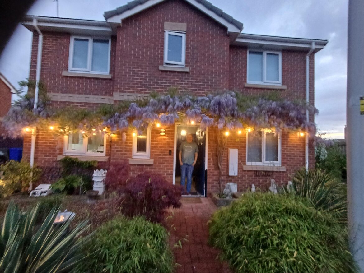 My wisteria