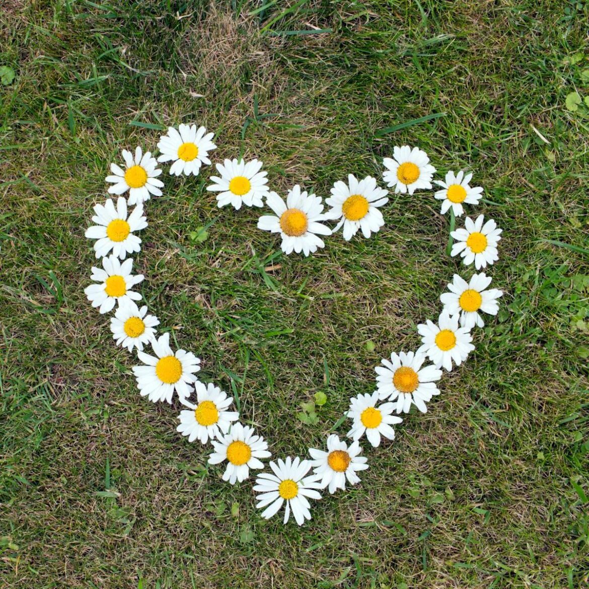 Why Your Lawn Is Brown or Patchy in May – and How to Green Up Your Grass, Fast Why Your Lawn Is Brown or Patchy in May – and How to Green Up Your Grass, Fast