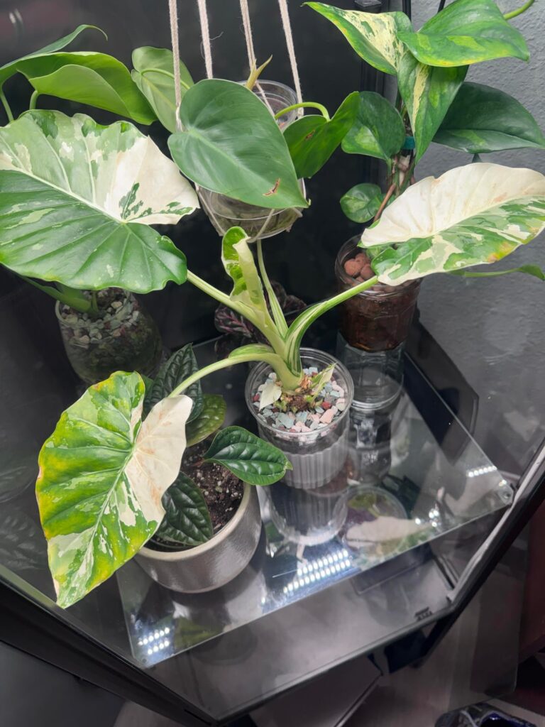 What do I do with these?!