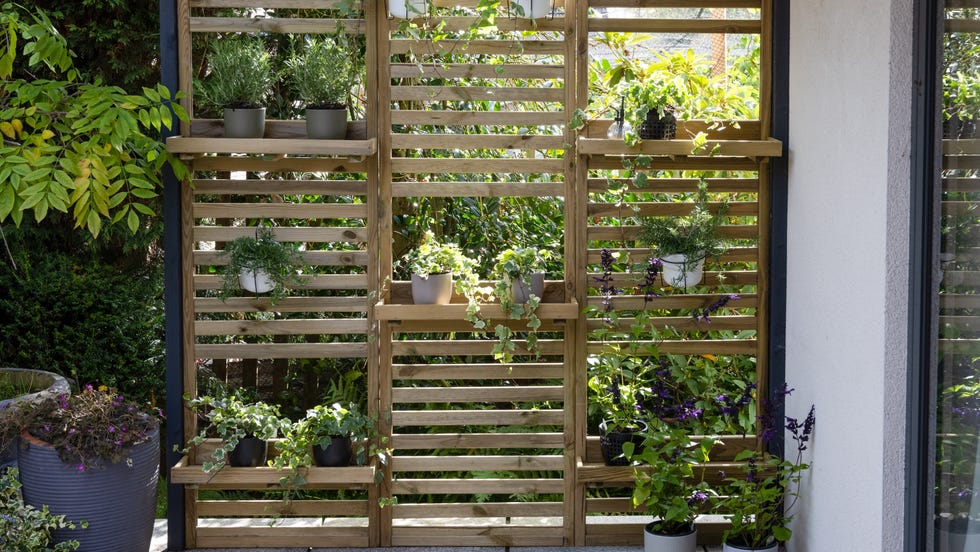 vertical wooden garden planter with potted plants
