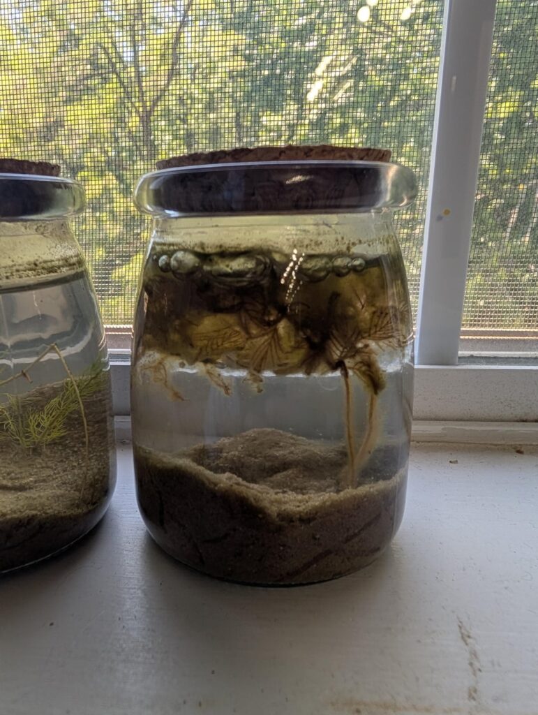 Same Jar, Different Outcomes.