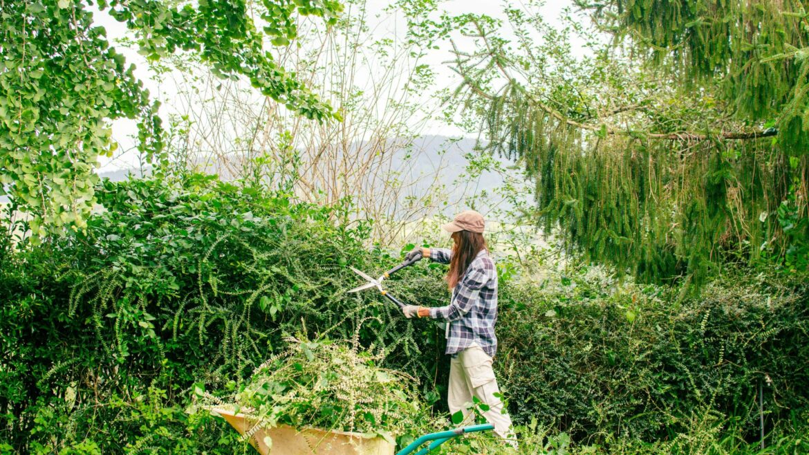 The Chaos Gardening Trend Is Slashing Maintenance Bills for Homeowners The Chaos Gardening Trend Is Slashing Maintenance Bills for Homeowners