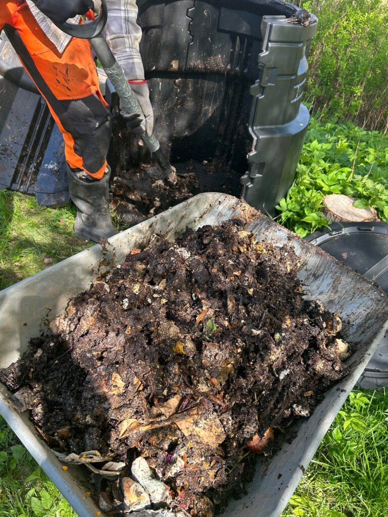 3 years worth of food scraps