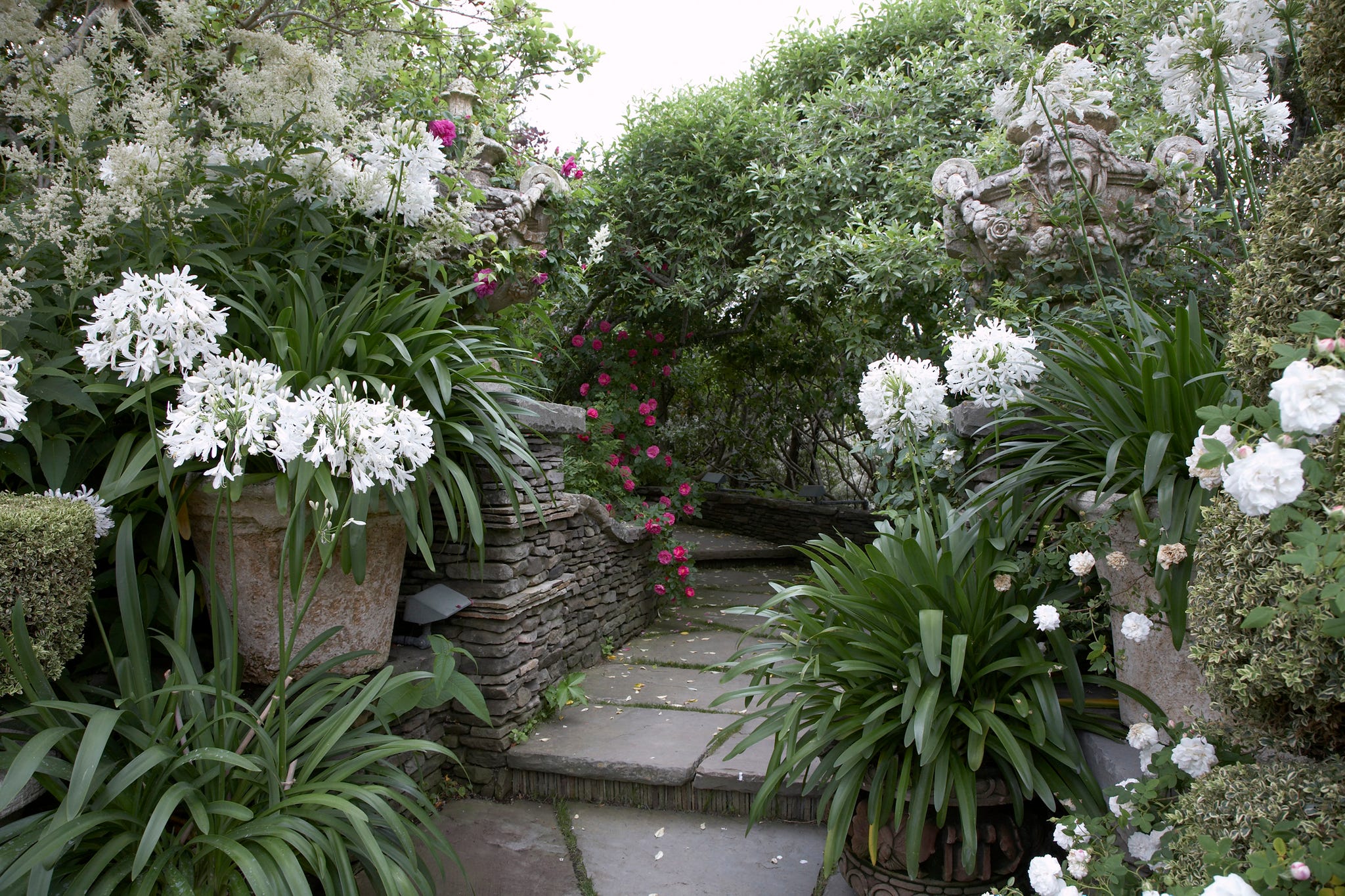pathway in Hamptons New York Garden