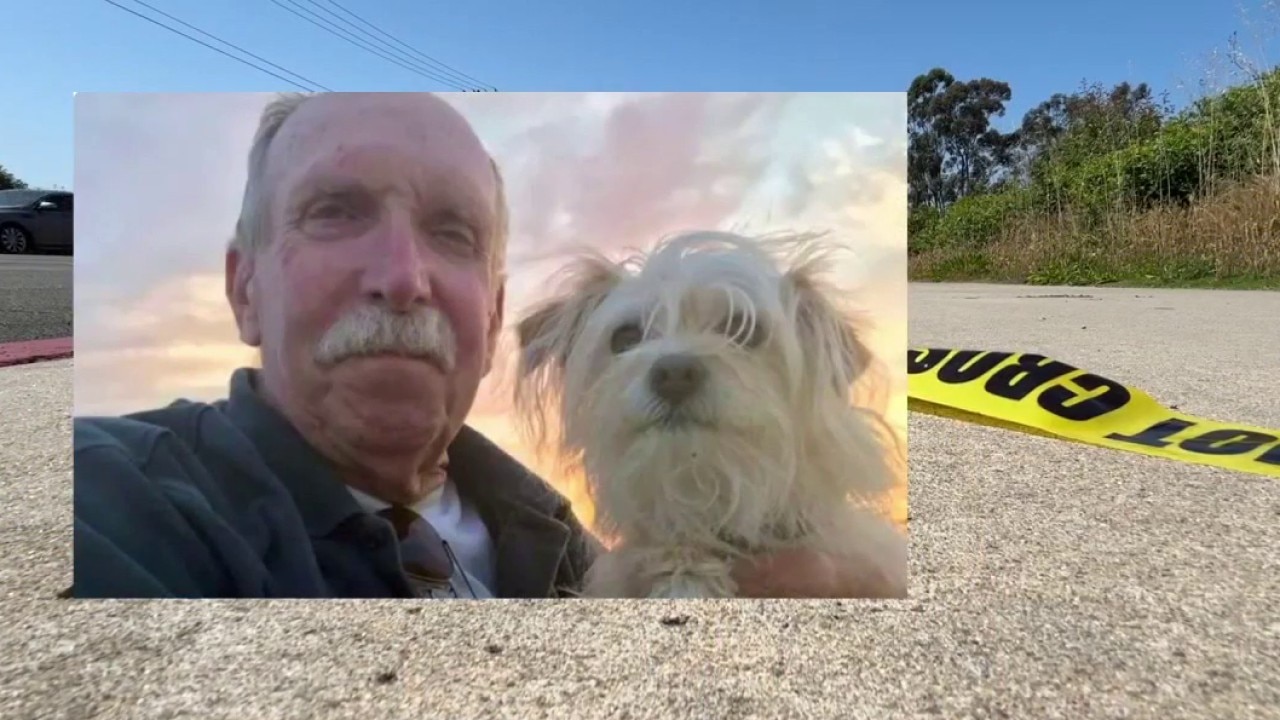RELATED COVERAGE: Veteran dies after e-motorcycle hit-and-run crash