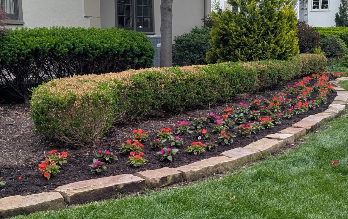 What's wrong with shrubs?