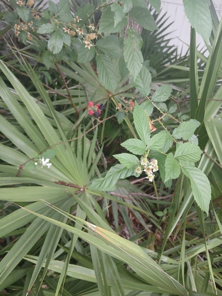 What are these?
