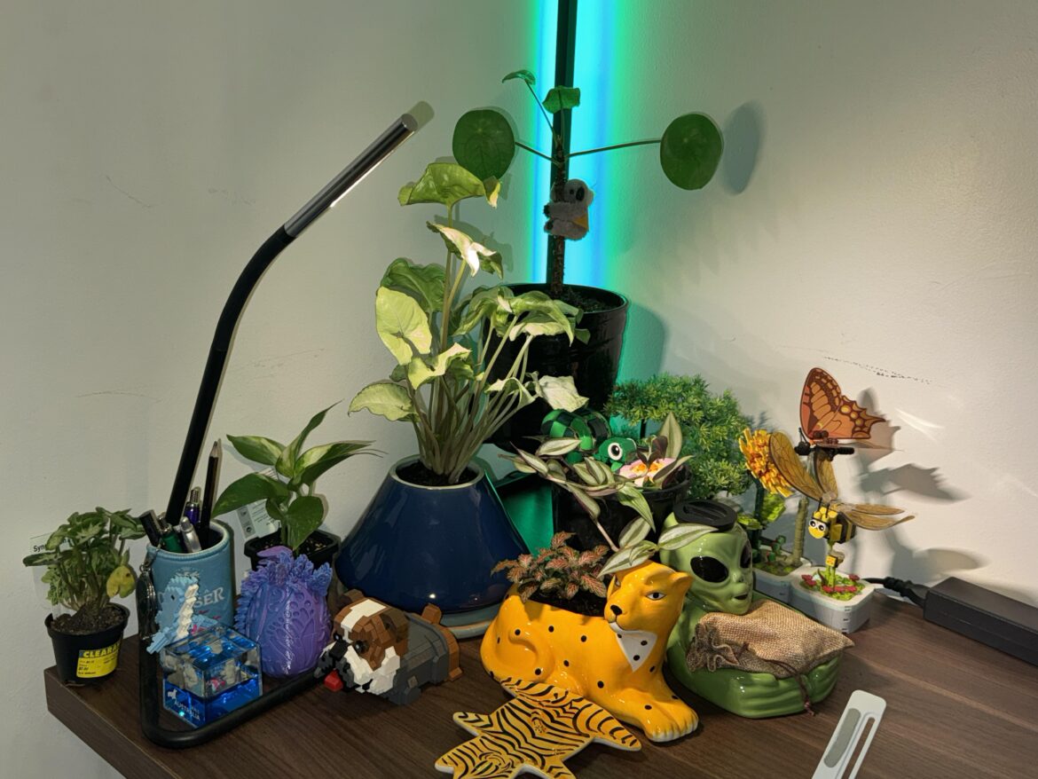 Favourite corner for my WFH setup