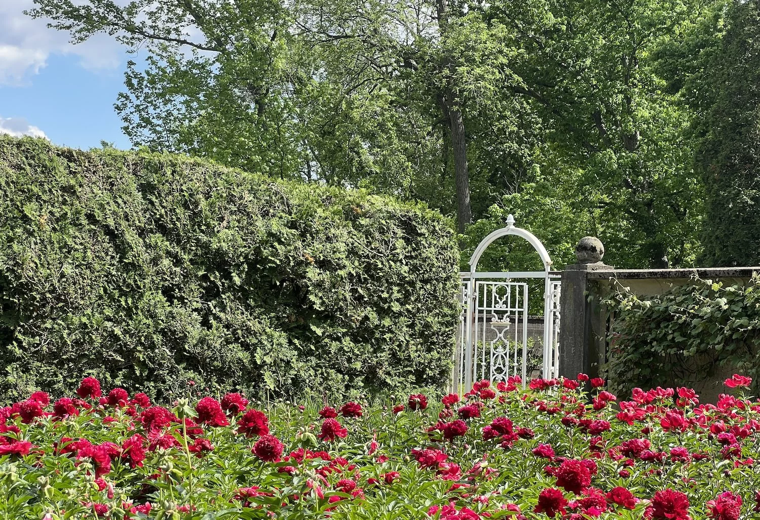 A gate at the edge of the Allerton Peony Garden