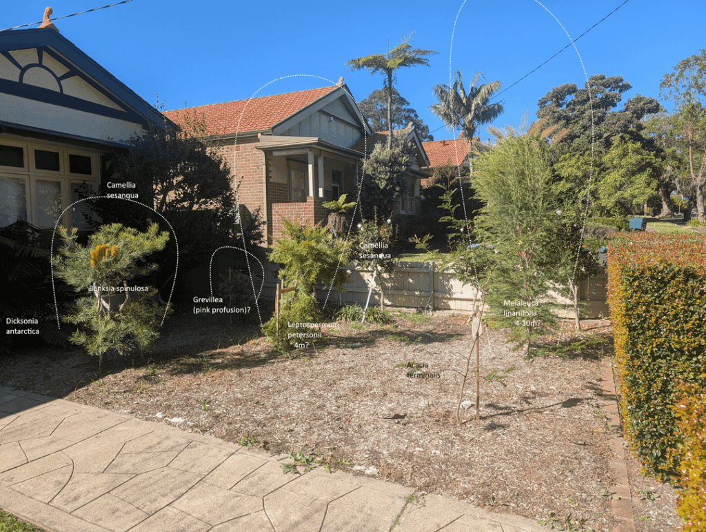 Front yard help