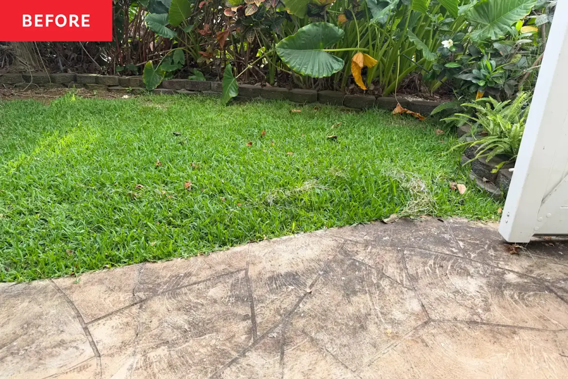 RYOBI’s Electric Pressure Washer Transformed My Space (Review) RYOBI's Electric Pressure Washer Transformed My Space (Review)
