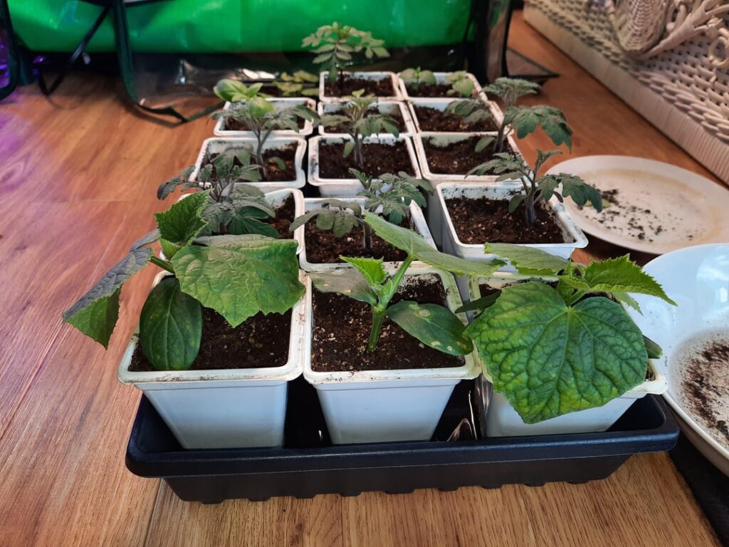 Advice/suggestions please!! Advice/suggestions please!!
