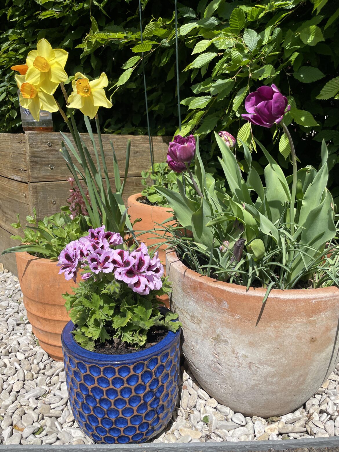Forgotten bulbs