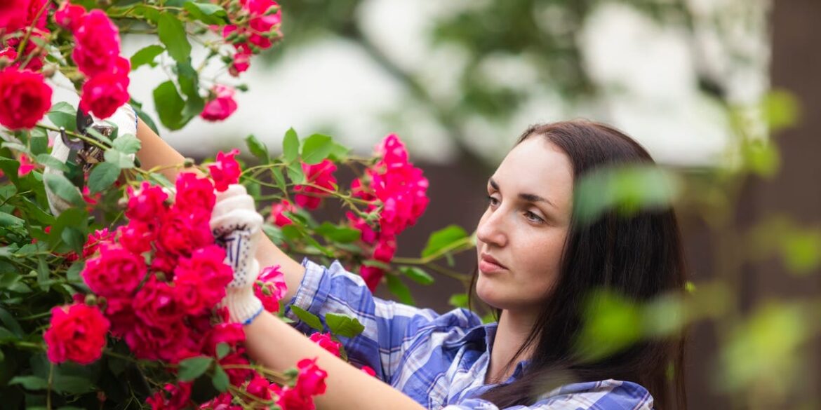 Can Baking Soda Help Flowers Bloom Bigger? An Expert Weighs in Can Baking Soda Help Flowers Bloom Bigger? An Expert Weighs in