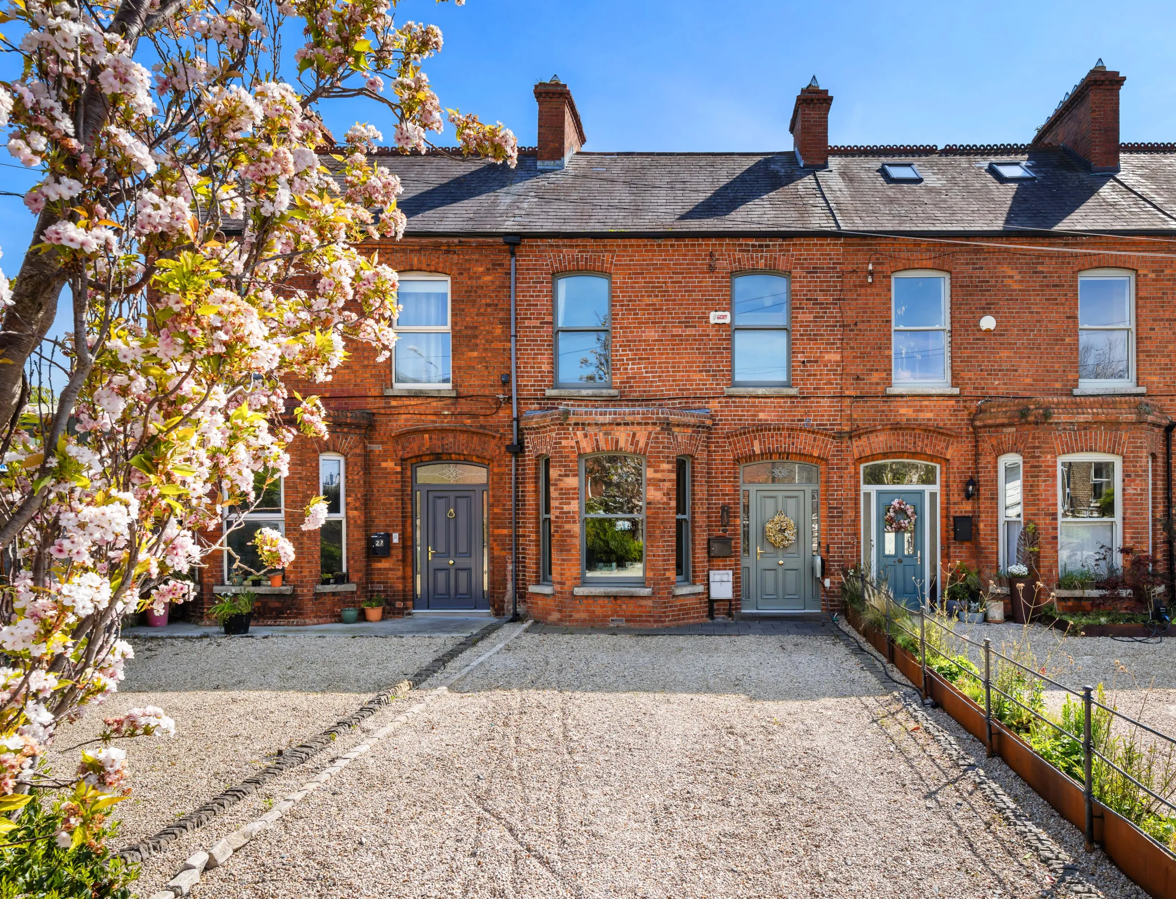 A row of brick terraced houses with gravel driveways and blooming cherry trees in the foreground.
