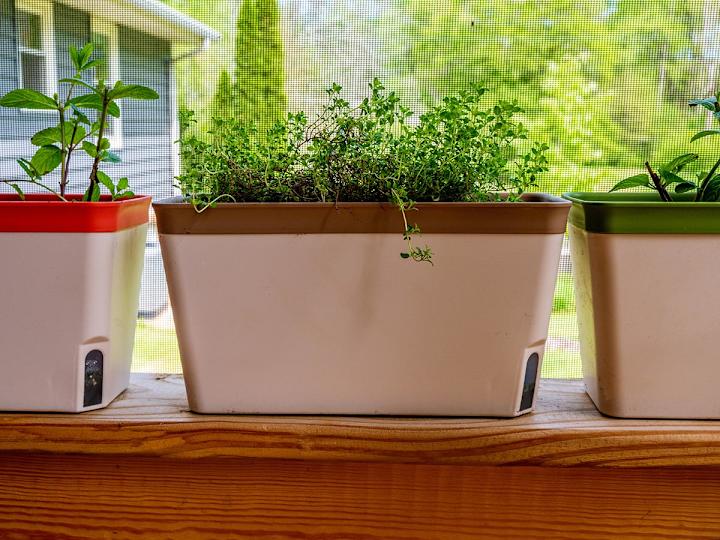 The Best Self-Watering Planter Options