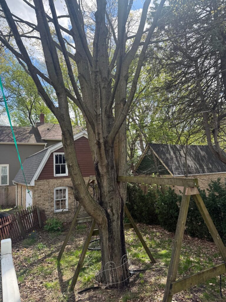 Thoughts removing swing set Thoughts removing swing set