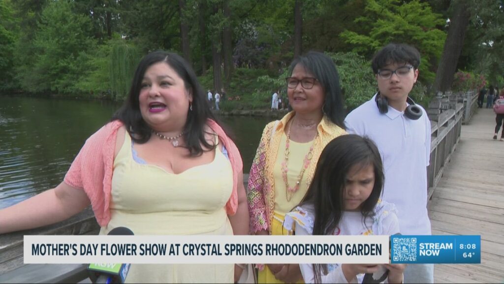 Crystal Springs garden hosts annual Mother’s Day rhododendron show Crystal Springs garden hosts annual Mother’s Day rhododendron show