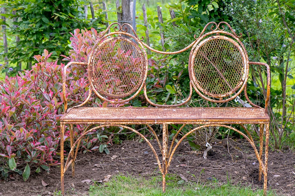 Close-up image of a shabby chic, rustic, rusty wrought iron garden bench/seat Close-up image of a shabby chic, rustic, rusty wrought iron garden bench/seat
